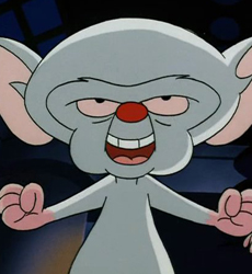 pinkey-and-the-brain-picture-of-brain
